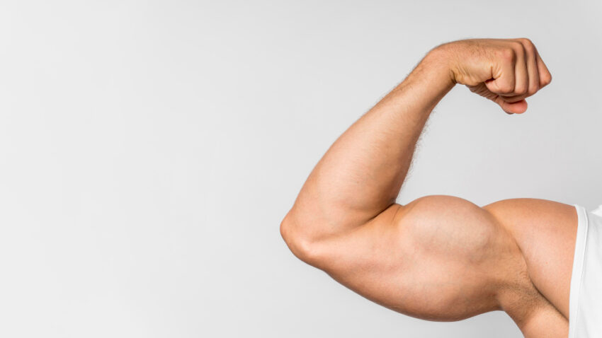 Biceps: cum să îți lucrezi și să îți crești mușchii brațului superior