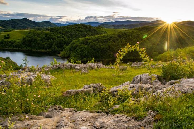 Zatonul Mare și Zatonul Mic