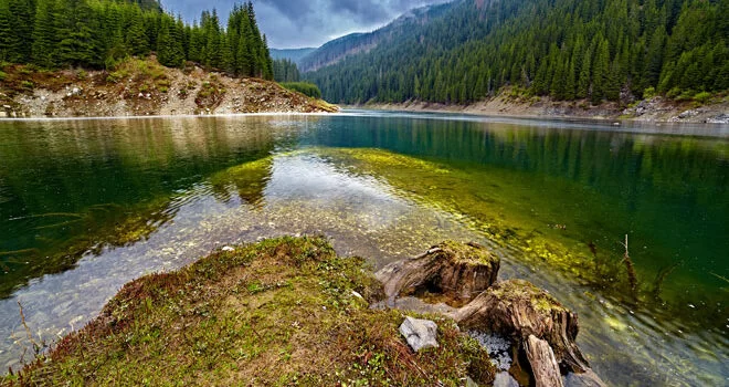 Lacul Galbenu: o bijuterie naturală