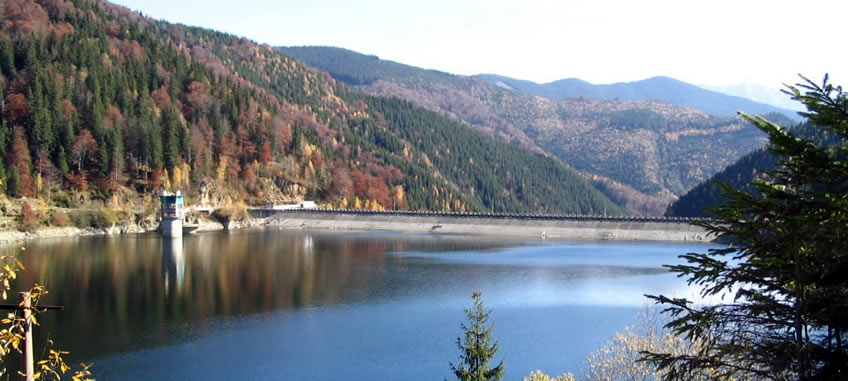 Lacul Pecineagu: refugiul natural