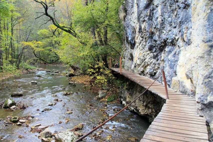 Cheile Vârghișului